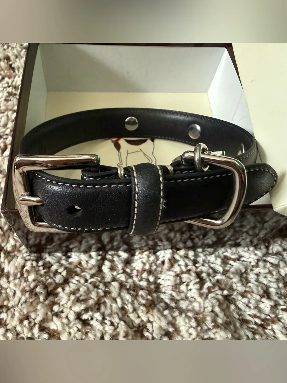 Coach Dog Collar